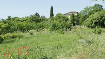 Photo d'un champ enherbé en premier plan, avec des arbes et des enfants en second plan et un batiment de l'Écolothèque en arrière plan