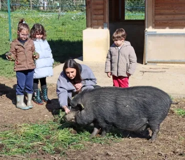un groupe d'enfants et leur animatrice donnent de l'herve à un cochon