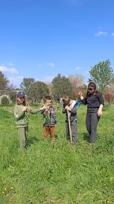 trois enfants et leur animatrice déterrent des poireaux avec une fourche