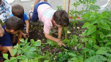 des enfants grattent la terre dans un potager 