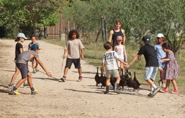 Un groupe d'enfants et leur animateur entourent plusieurs canards