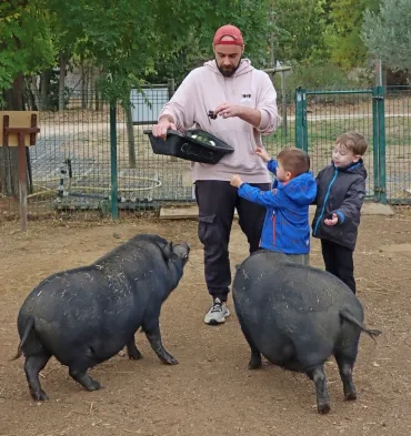 Deux enfants et leur animateur donnent à manger à deux cochons