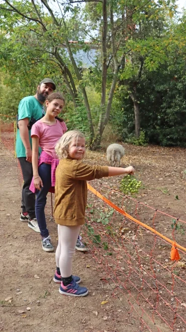 deux enfants et leur animateur tendent des branchages à des moutons