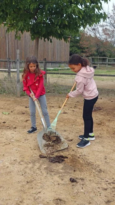 deux enfant ramassent du crottin 