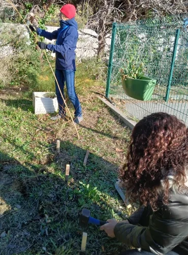 Les participants taillent les cannes de Provence et installe des piquets.