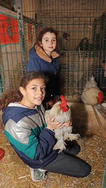 deux enfants tiennent des petits coqs dans les mains