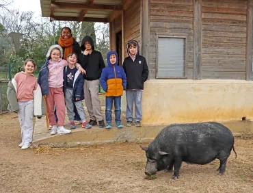 un groupe d'enfants et leur animatrice observent un cochon manger