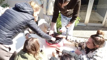 Les participants réalisent des semis de fleurs