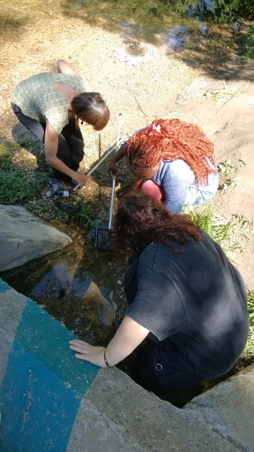 Les participantes recherchent des êtres vivants dans la rivière.