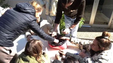 Les participants réalisent des semis de fleurs