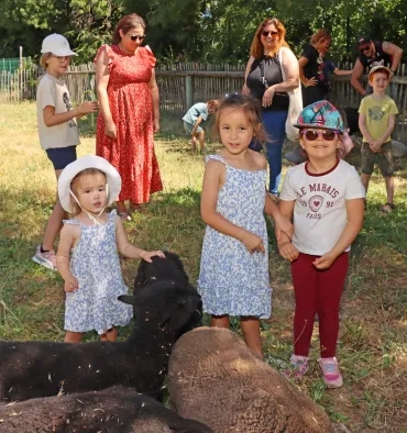 trois enfants caressent des moutons