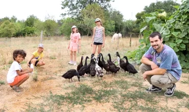 un groupe d'enfants et leur animateur entourent un groupe de canards