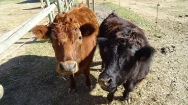 Vacances d'hiver - 21 au 25 février 2022