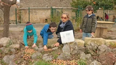 Mercredis de décembre 2019