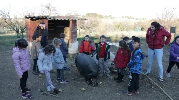 Mercredis de janvier 2017