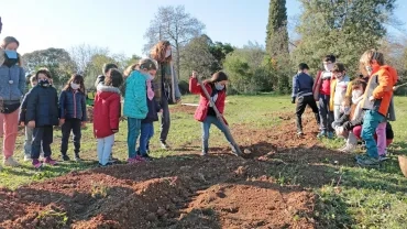 Mercredis de décembre 2020