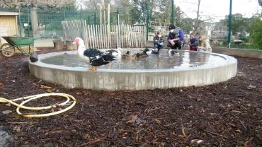 Vacances de Noël - 28 au 31 décembre 2020