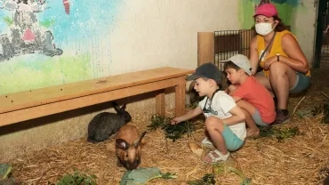 Vacances d'été - 20 au 24 juillet 2020