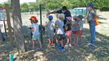 Vacances d'été - 15 au 17 juillet 2020