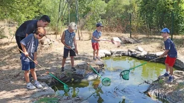 Vacances d'été - 18 au 22 juillet 2022