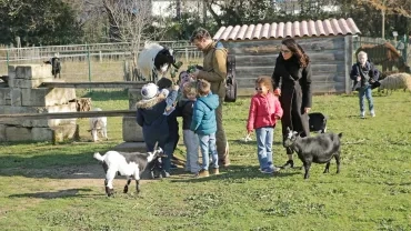 Mercredis de janvier 2019