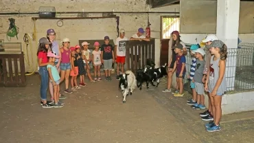 Vacances d'été - 13 au 17 août 2018