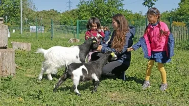 Mercredis d'avril 2017