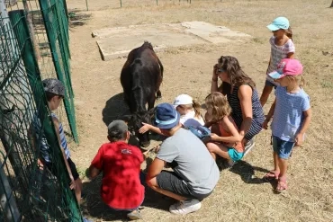 Vacances d'été - 15 au 19 juillet 2019