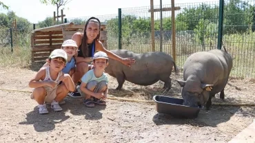 Vacances d'été - 8 au 12 juillet 2024