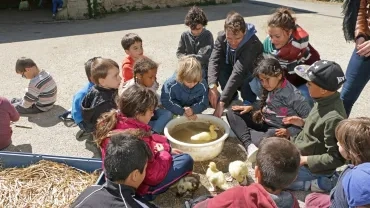 Mercredis d'avril 2017