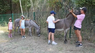 Vacances d'été - 12 au 14 août 2024