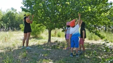 Vacances d'été - 6 au 10 juillet 2020