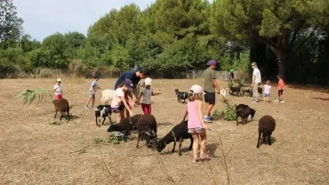 Vacances d'été - 24 au 28 juillet 2023