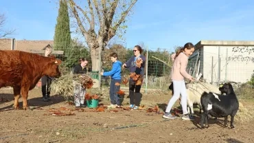 Vacances de Noël - 19 au 23 décembre 2022