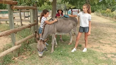 Vacances d'été - 2 au 6 août 2021