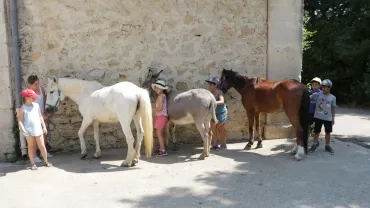 Mercredis de juin 2017