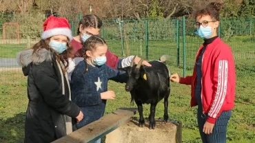 Vacances de Noël - 21 au 24 décembre 2020