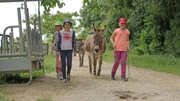 Mercredis de mai 2018
