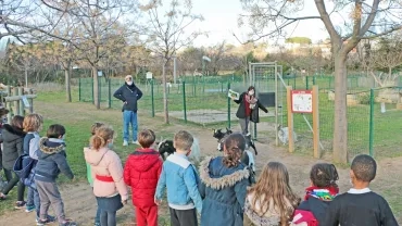Mercredis de janvier 2021