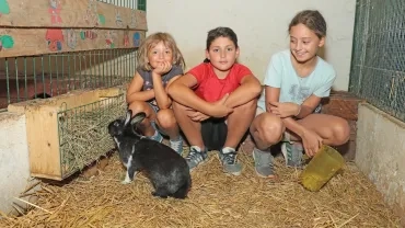 Vacances d'été - 12 au 14 août 2019