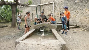 Mercredis de mai 2018