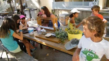 Vacances d'été - 22 au 26 août 2016