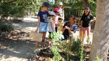 Vacances d'été - 31 juillet au 04 août 2023