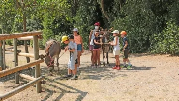 Vacances d'été - 27 au 31 juillet 2020
