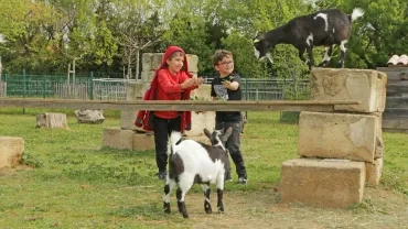 Mercredis d'avril 2019