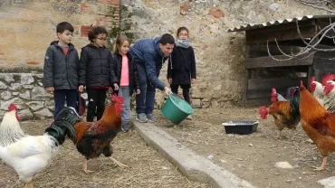 Mercredis de janvier 2018