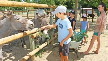 Vacances d'été - 29 juillet au 2 août 2019