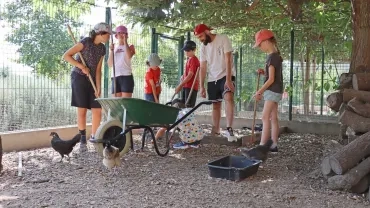 Vacances d'été - 15 au 19 juillet 2024