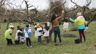 Mercredis de janvier 2018