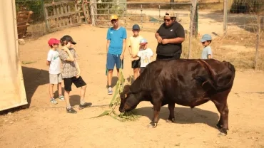 Vacances d'été - 29 juillet au 2 août 2024